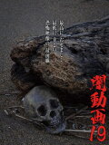 Tokyo Videos of Horror 19