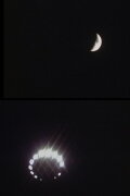 Night of Orley