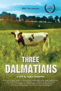 Three Dalmatians