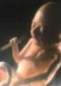 Smoking Fetus