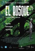 El bosque