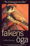 Kestrel's Eye
