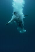 Pedro, Between the Devil and the Deep Blue Sea