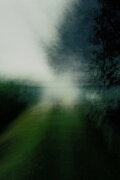 Brouillard #5
