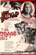 The Dragon's Net