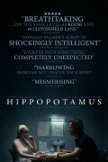 Hippopotamus