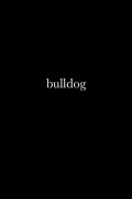 Bulldog