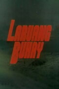 Laruang Buhay