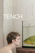 Tench
