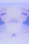 The Heavens