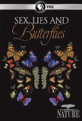 Sex, Lies and Butterflies