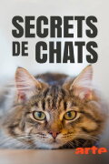 Wilde Miezen - Katzen allein unterwegs
