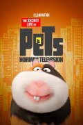 Norman Television