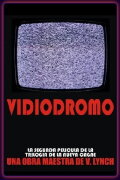 Vidiodromo