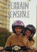 Terrain Sensible