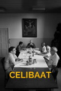 Celibaat