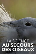 Glorious Bustards