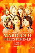 Marigold Fields Forever