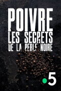 Poivre, les secrets de la perle noire