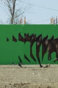 Playgrounds In Motion