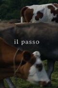 Il passo