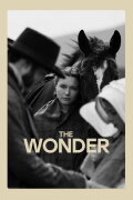 The Wonder