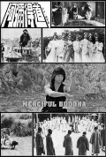 The Merciful Buddha
