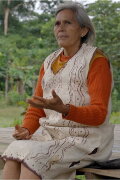 Wändari