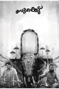 Vedikkettu