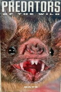 Predators of the Wild: Bats