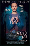 Magic H8 Ball