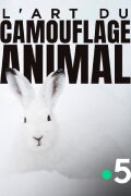 L'art du camouflage animal