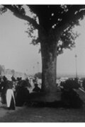 Pau : la terrasse