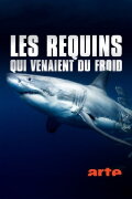 Les requins qui venaient du froid