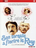 Son tornate a fiorire le rose