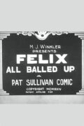 Felix All Balled Up