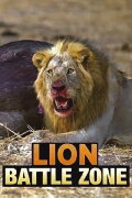 Lion Battle Zone