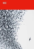 Wilco: Shake It Off