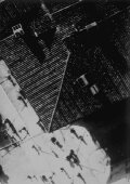 Panorama Taken from a Tethered Balloon