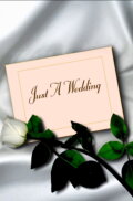 Just a Wedding