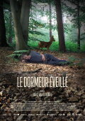 The Wakeful Sleeper