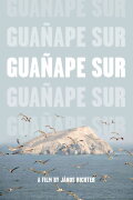 Guañape sur