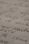 Releyendo mi diario (Autorretrato)