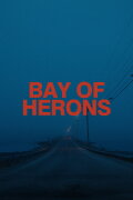 Bay Of Herons