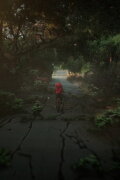 Struggling to Survive: Before the Dawn of the Apes (Year 5)