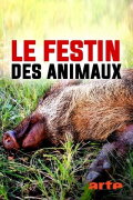 Le festin des animaux
