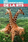 Maman girafe