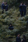 The Human Hibernation