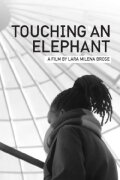 Touching An Elephant