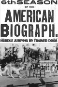 Hurdle Jumping; by Trained Dogs